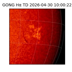 gong - 2026-04-30T10:00:22