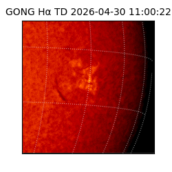 gong - 2026-04-30T11:00:22