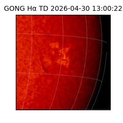 gong - 2026-04-30T13:00:22