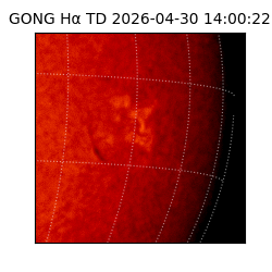 gong - 2026-04-30T14:00:22