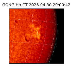 gong - 2026-04-30T20:00:42