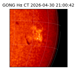 gong - 2026-04-30T21:00:42