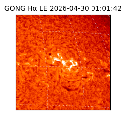 gong - 2026-04-30T01:01:42