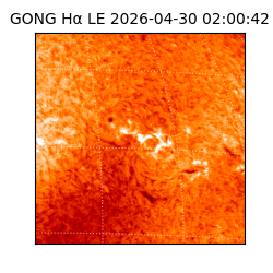 gong - 2026-04-30T02:00:42