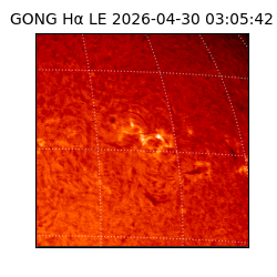 gong - 2026-04-30T03:05:42