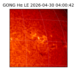 gong - 2026-04-30T04:00:42