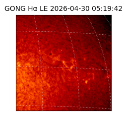 gong - 2026-04-30T05:19:42
