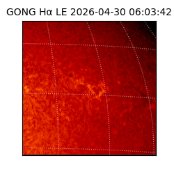 gong - 2026-04-30T06:03:42