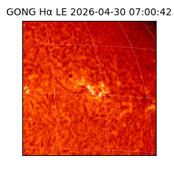 gong - 2026-04-30T07:00:42