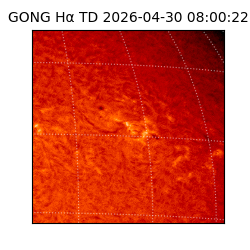 gong - 2026-04-30T08:00:22
