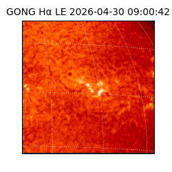 gong - 2026-04-30T09:00:42