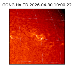 gong - 2026-04-30T10:00:22