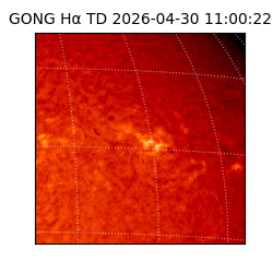 gong - 2026-04-30T11:00:22