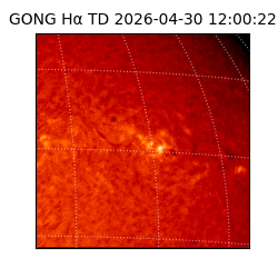 gong - 2026-04-30T12:00:22