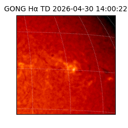 gong - 2026-04-30T14:00:22