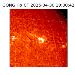 gong - 2026-04-30T19:00:42