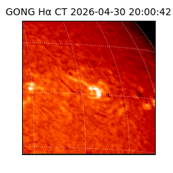 gong - 2026-04-30T20:00:42