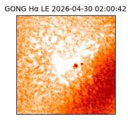gong - 2026-04-30T02:00:42