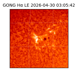 gong - 2026-04-30T03:05:42
