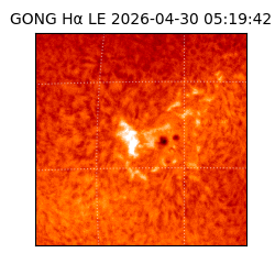 gong - 2026-04-30T05:19:42