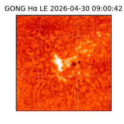 gong - 2026-04-30T09:00:42