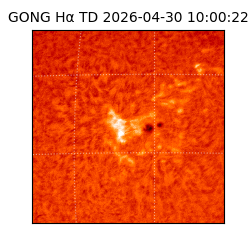 gong - 2026-04-30T10:00:22