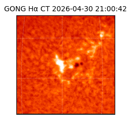 gong - 2026-04-30T21:00:42
