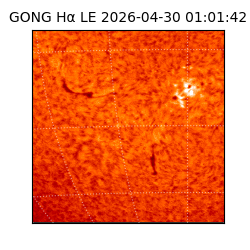 gong - 2026-04-30T01:01:42