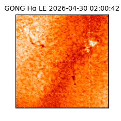 gong - 2026-04-30T02:00:42