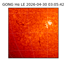 gong - 2026-04-30T03:05:42