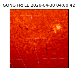 gong - 2026-04-30T04:00:42