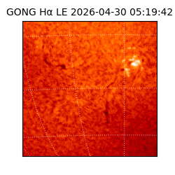 gong - 2026-04-30T05:19:42