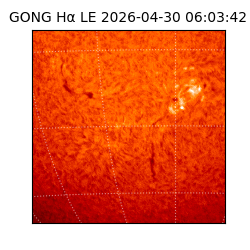 gong - 2026-04-30T06:03:42