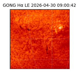 gong - 2026-04-30T09:00:42