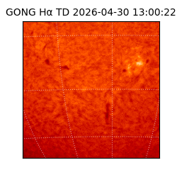 gong - 2026-04-30T13:00:22
