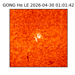 gong - 2026-04-30T01:01:42