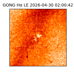 gong - 2026-04-30T02:00:42