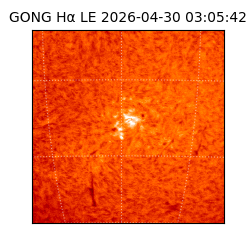 gong - 2026-04-30T03:05:42