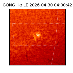 gong - 2026-04-30T04:00:42