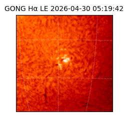 gong - 2026-04-30T05:19:42