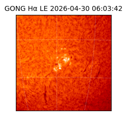 gong - 2026-04-30T06:03:42