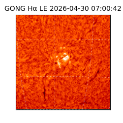 gong - 2026-04-30T07:00:42