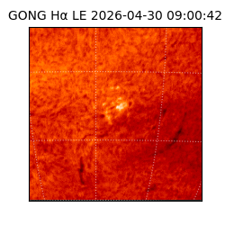 gong - 2026-04-30T09:00:42