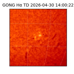 gong - 2026-04-30T14:00:22