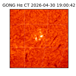 gong - 2026-04-30T19:00:42