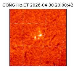gong - 2026-04-30T20:00:42