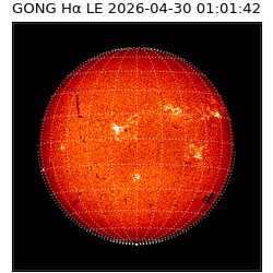 gong - 2026-04-30T01:01:42