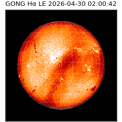 gong - 2026-04-30T02:00:42