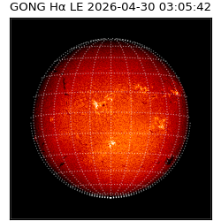 gong - 2026-04-30T03:05:42