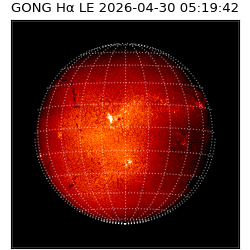 gong - 2026-04-30T05:19:42
